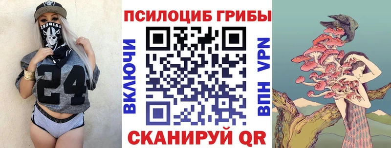сайты даркнета состав  Козловка  Галлюциногенные грибы мицелий 